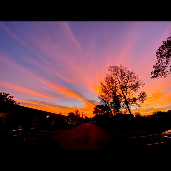 Posh Ambassador Allie - Picture 1 of 1